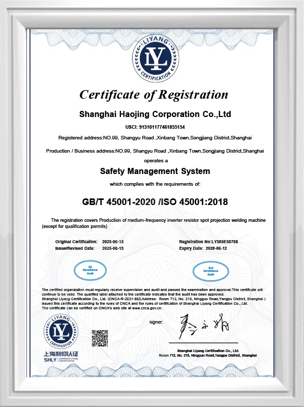 Occupational Health and Safety Management System (ISO45001)